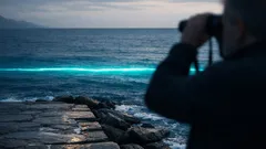 La scia azzurra nei Caraibi vista dallo spazio: cosa è successo dopo l’uragano Melissa