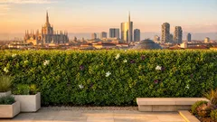 Siepe di eugenia sempreverde: come farla fitta e alta tutto l’anno